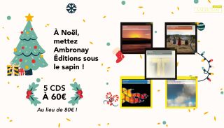 Célébrez la magie de Noël avec notre offre exceptionnelle !